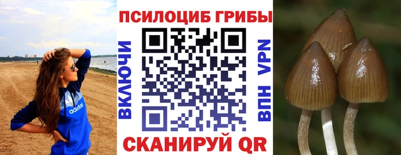 Галлюциногенные грибы Cubensis  Ивдель 